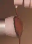 Alternative Image Kylie Beauty Foundation Brush