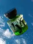 Alternative Image Vyrao I Am Verdant