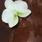 Alternative Image Kylie Skin Vanilla Body Wash