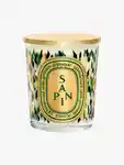 Hero Diptyque Sapin190g