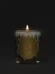 Alternative Image Diptyque Sapin70g