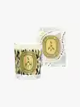 Hero Diptyque Sapin 70g