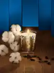 Alternative Image Diptyque Coton70g