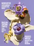 Alternative Image Solde Janeiro Delicia Drench Body Butter