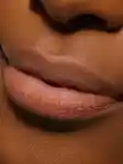 Alternative Image Kylie Beauty Precision Lip Liner