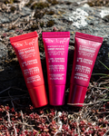 Alternative Image Dr Lipp Superfood Lip Tints