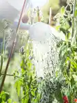 Alternative Image Maison Margiela From The Garden Diffuser