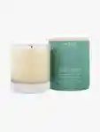 Hero Aveda Shampure Vegan Soy Wax Candle