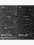 Alternative Image Act Acre Clarifying Hard Water Shampoo