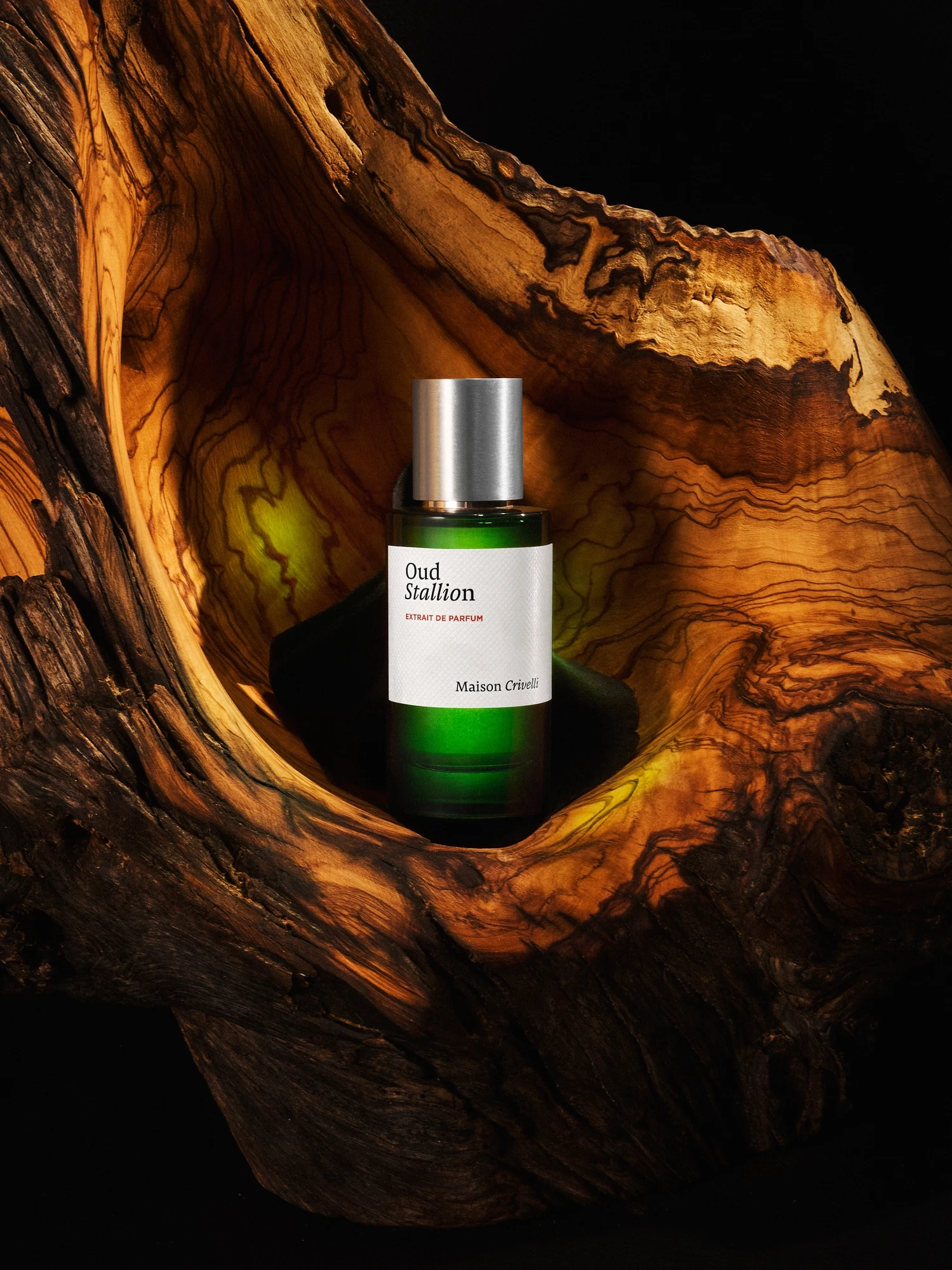 Alternative Image Maison Crivelli Oud Stallion Extrait