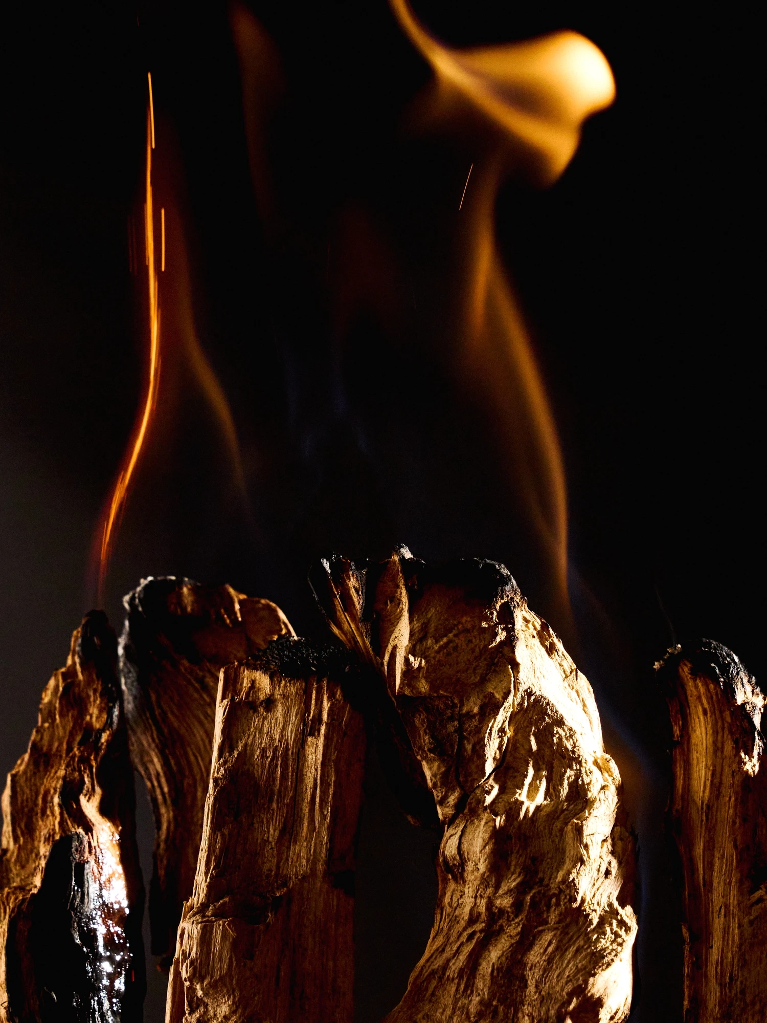 Alternative Image Maison Crivelli Oud Stallion Extrait