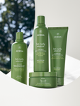 Alternative Image Aveda Be Curly Advanced Co Enhancer Cream