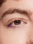 Alternative Image Urban Decay Big Bush Volumising Tinted Brow Gel