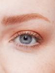 Alternative Image Urban Decay Big Bush Volumising Tinted Brow Gel
