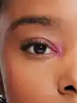 Alternative Image Urban Decay Big Bush Volumising Tinted Brow Gel