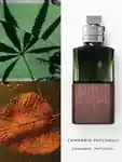 _0000_ I 068207 A1 DVN Cannabis Patchouli EDP 100ml