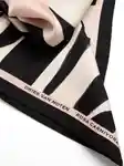 Alternative Image Dries Van Noten Rosa Carnivora Scarf