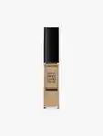 Hero Lancome All Over Concealer
