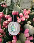 Alternative Image DIPTYQUE Ilio Hair Mist