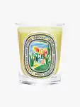 Hero Diptyque Citronnelle Candle