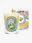 Alternative Image Diptyque Citronnelle Candle