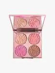 Hero By Terry Brightening CC Palette