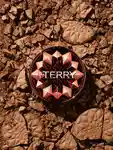 Alternative Image By Terry Tea To Tan Sun Powder