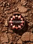 Alternative Image By Terry Tea To Tan Sun Powder