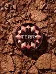 Alternative Image By Terry Tea To Tan Sun Powder