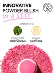 Alternative Image Polite Society Polite Pops Powder Blush Stick