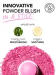 Alternative Image Polite Society Polite Pops Powder Blush Stick