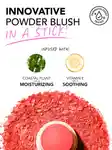 Alternative Image Polite Society Polite Pops Powder Blush Stick