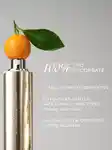 Alternative Image Westman Atelier Supreme C Vitamin C Concentrate