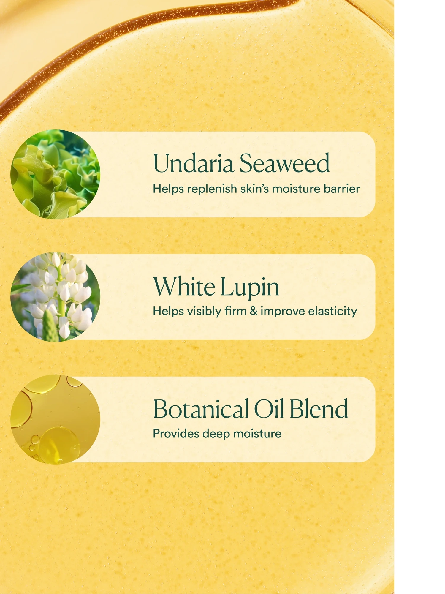 Alternative Image OSEA Undaria Algae Body Oil