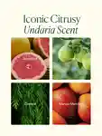 Alternative Image OSEA Undaria Algae Body Butter