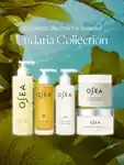 Alternative Image OSEA Undaria Algae Body Oil