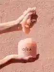 Alternative Image OSEA Salts Of The Earth Body Scrub