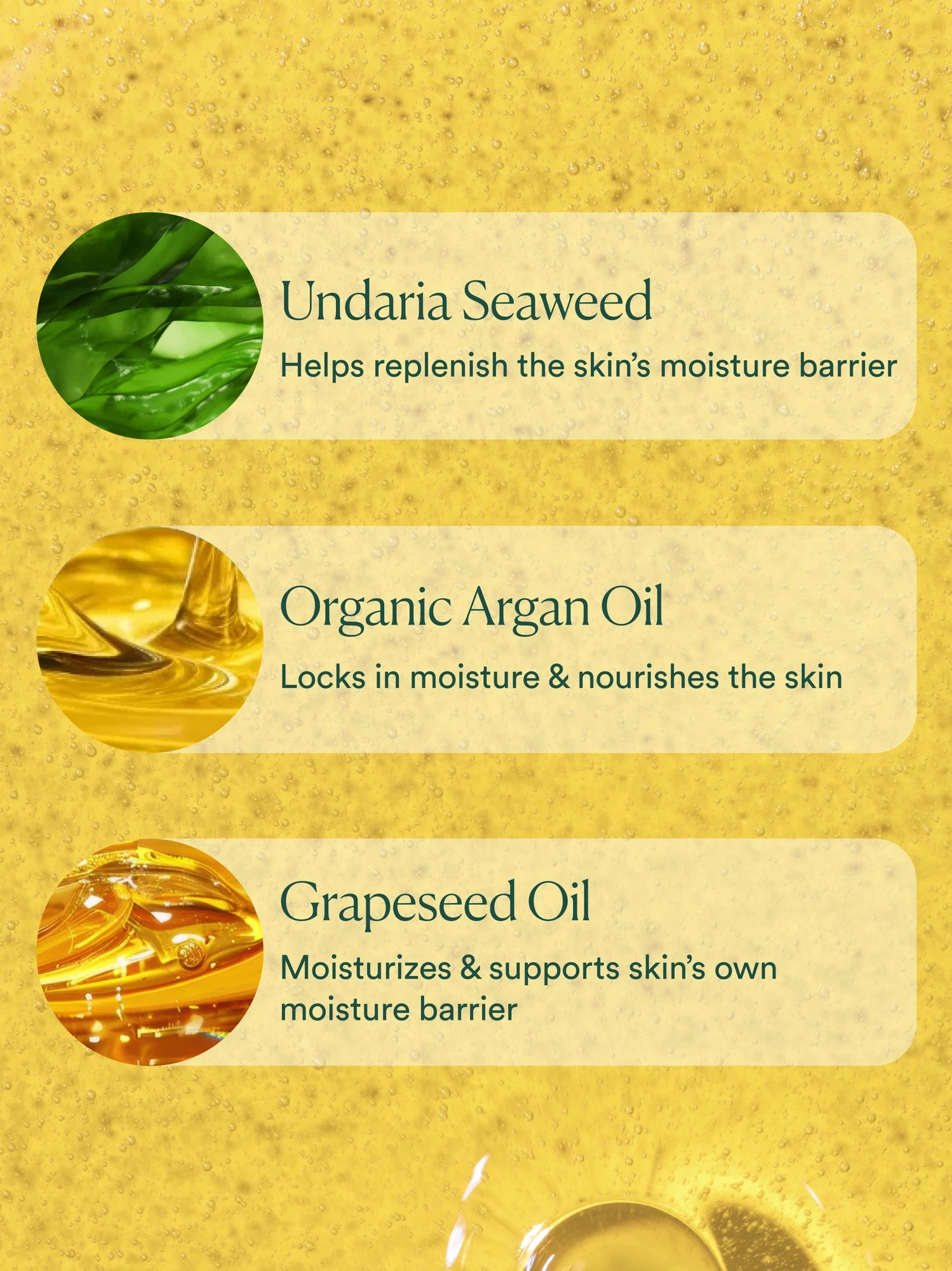 Alternative Image OSEA Dayglow Face Oil