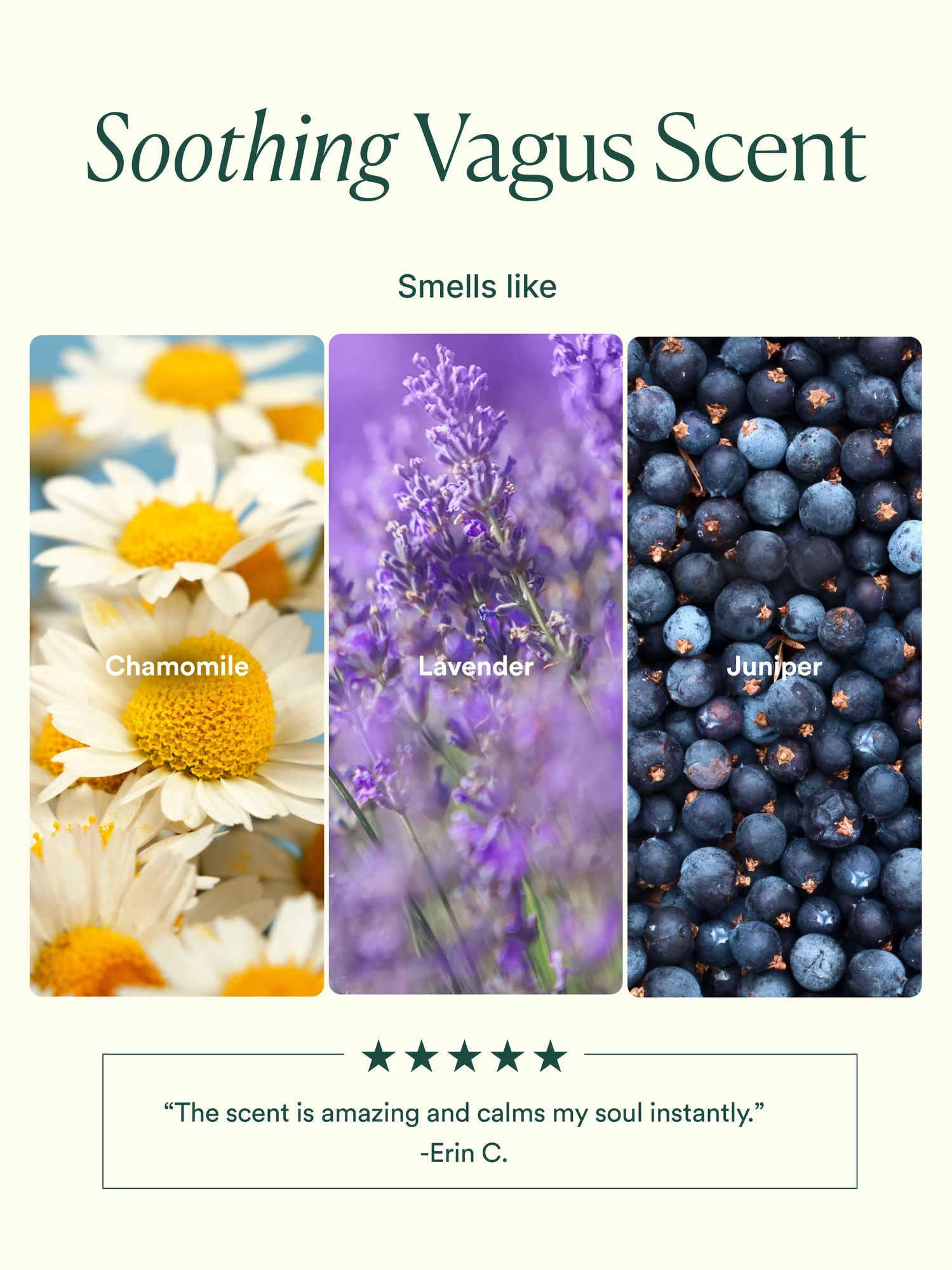 Alternative Image OSEA Vagus Nerve Oil