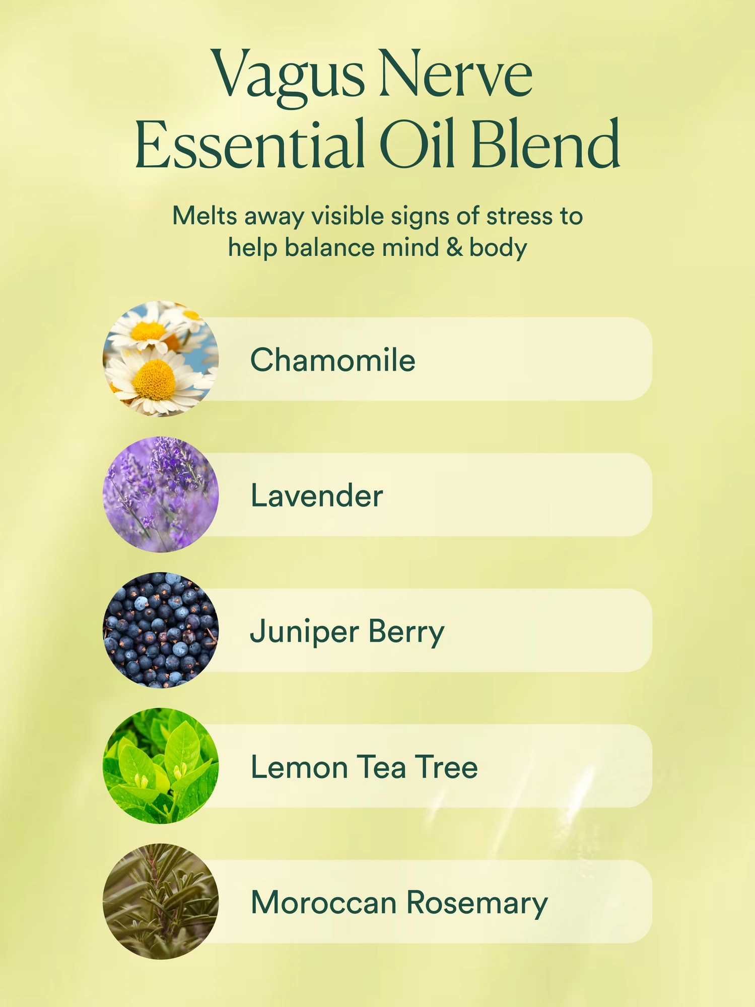 Alternative Image OSEA Vagus Nerve Oil