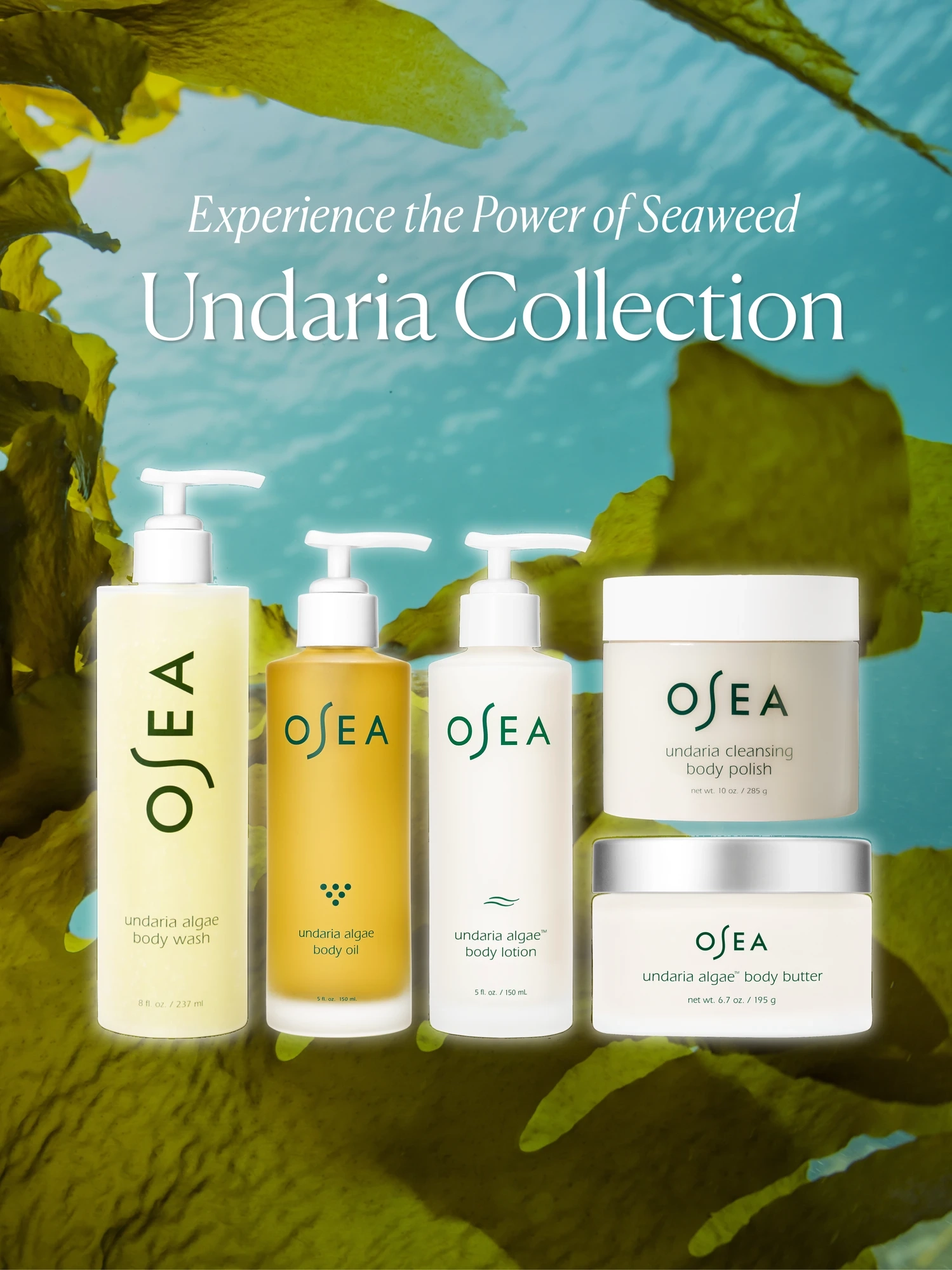 Alternative Image OSEA Undaria Algae Body Butter
