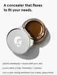 Alternative Image Glossier Stretch Concealer