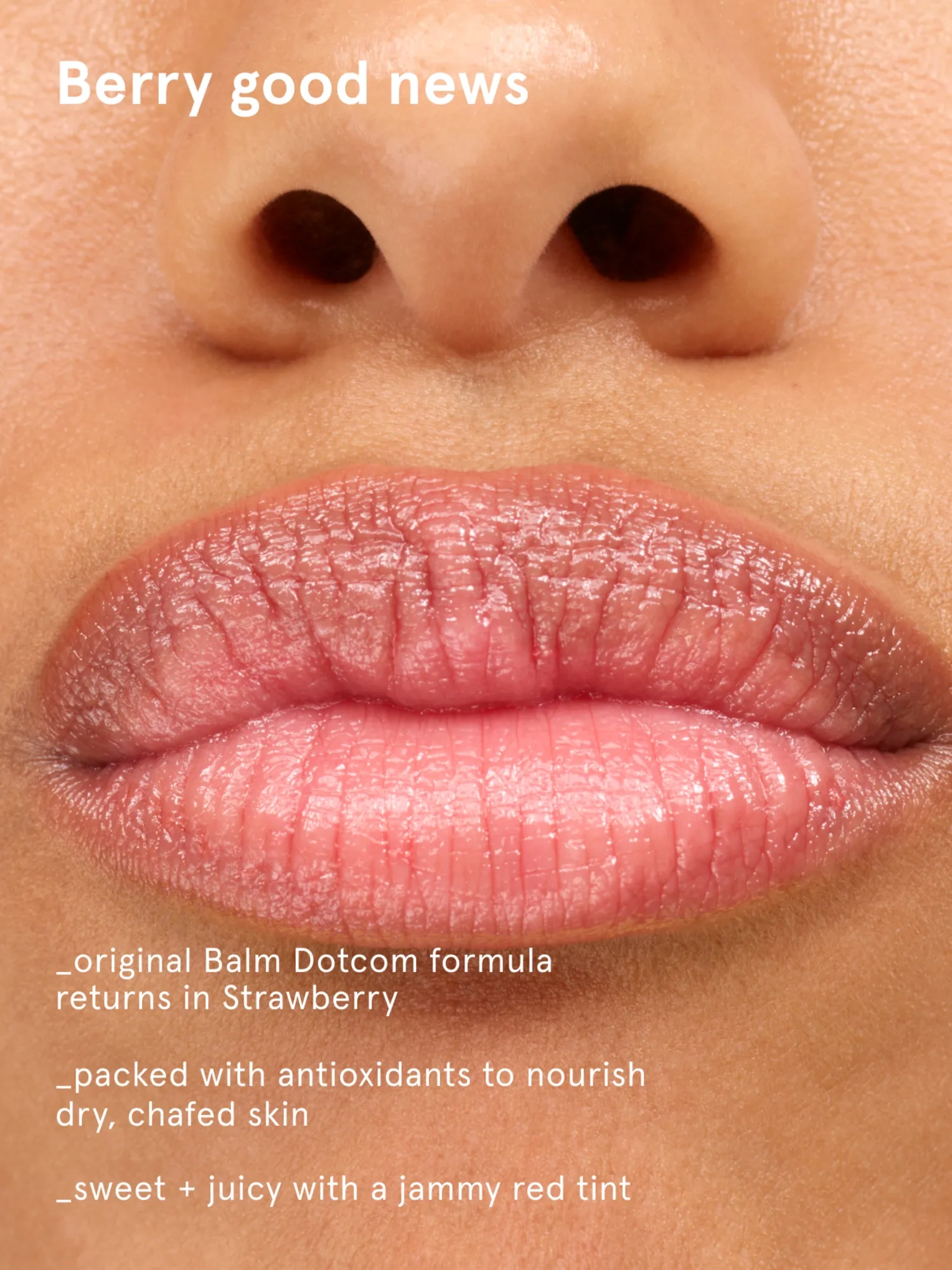 Balm Dotcom Lip Balm and Skin Salve