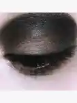 Alternative Image Kylie Cosmetics Smokey Kyshadow Palette