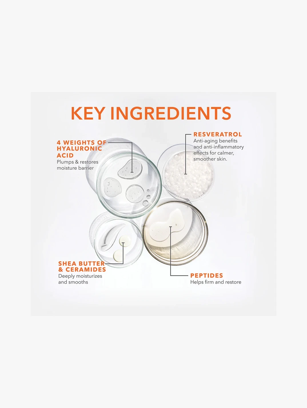 Alternative Image Dr Dennis Gross Derm Infusions Blur Repair Cream