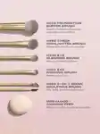 Alternative Image Morphe Compose Yourself6 Piece Brush Tool Set