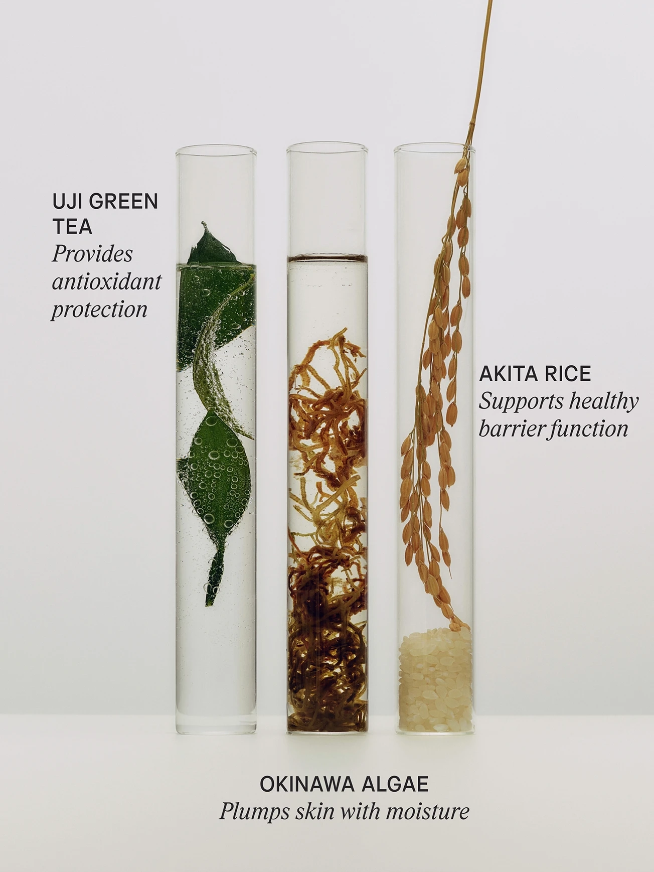 Alternative Image Tatcha The Essence