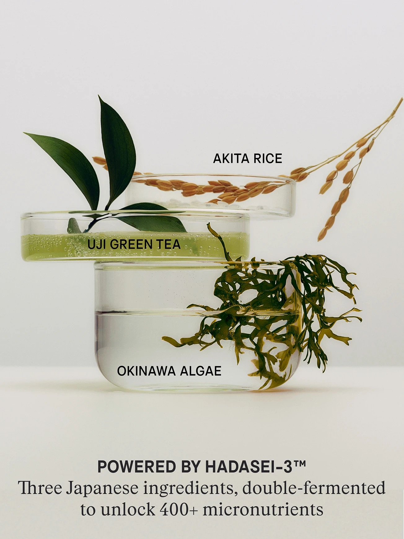Alternative Image Tatcha The Essence