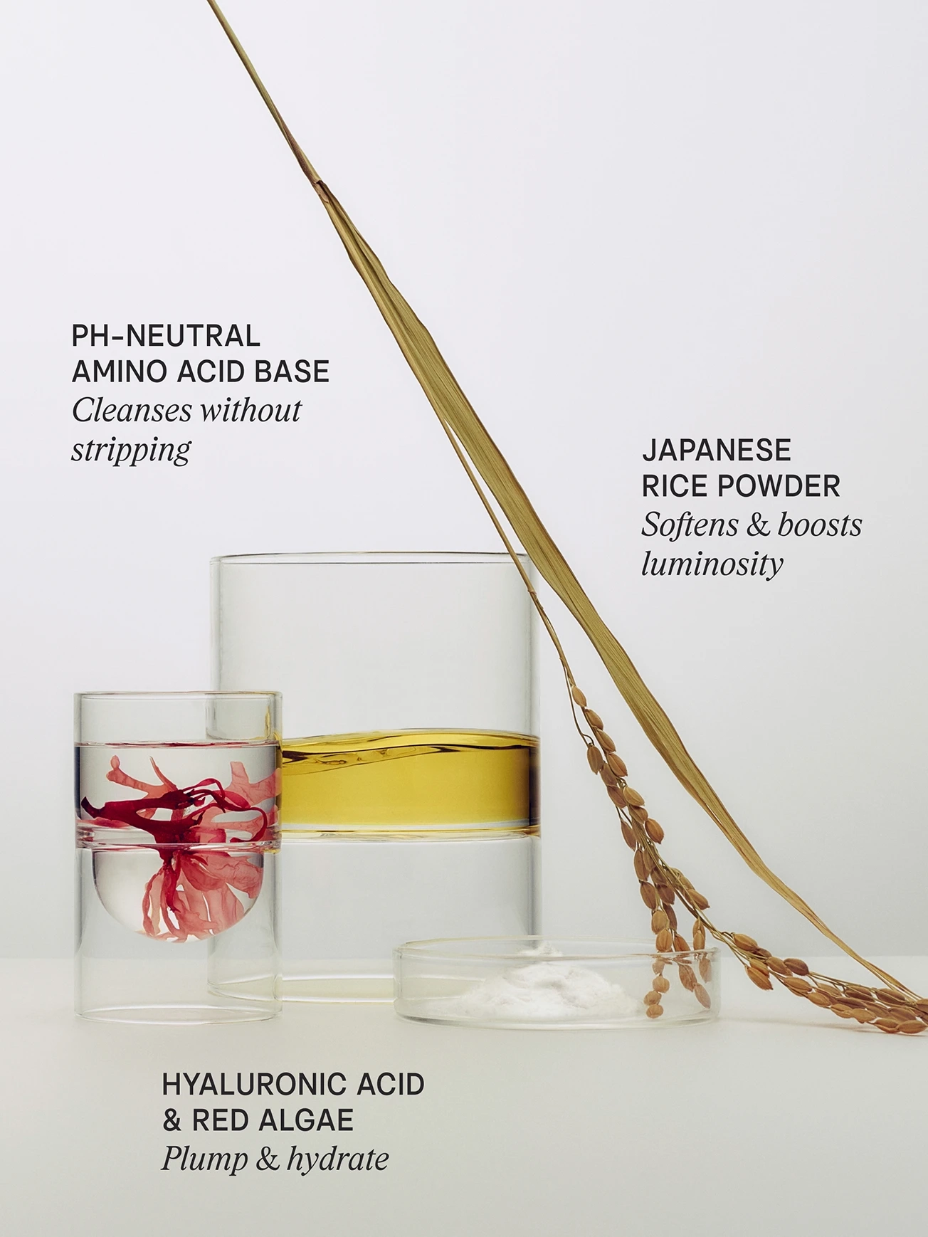 Alternative Image Tatcha The Rice Wash