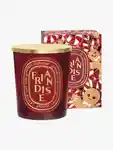 Hero DIPTYQUE Friandise Candle